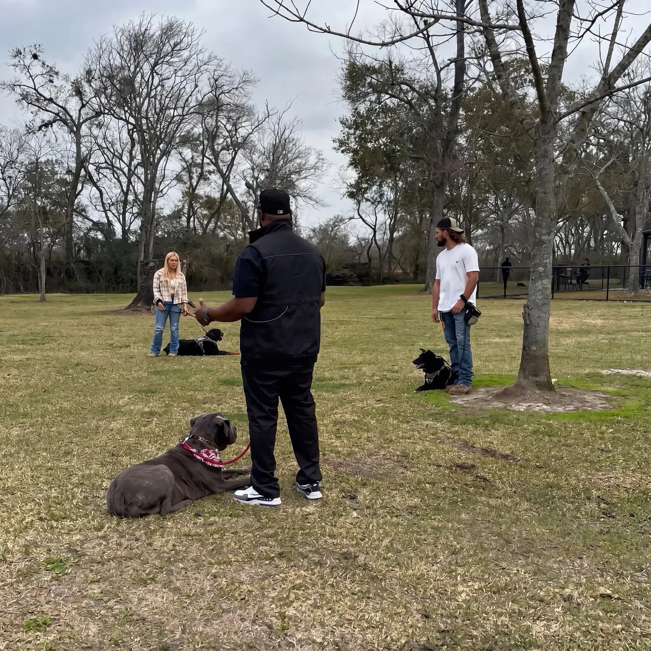 CJ's Dog Training group lesson in a Houston-area park