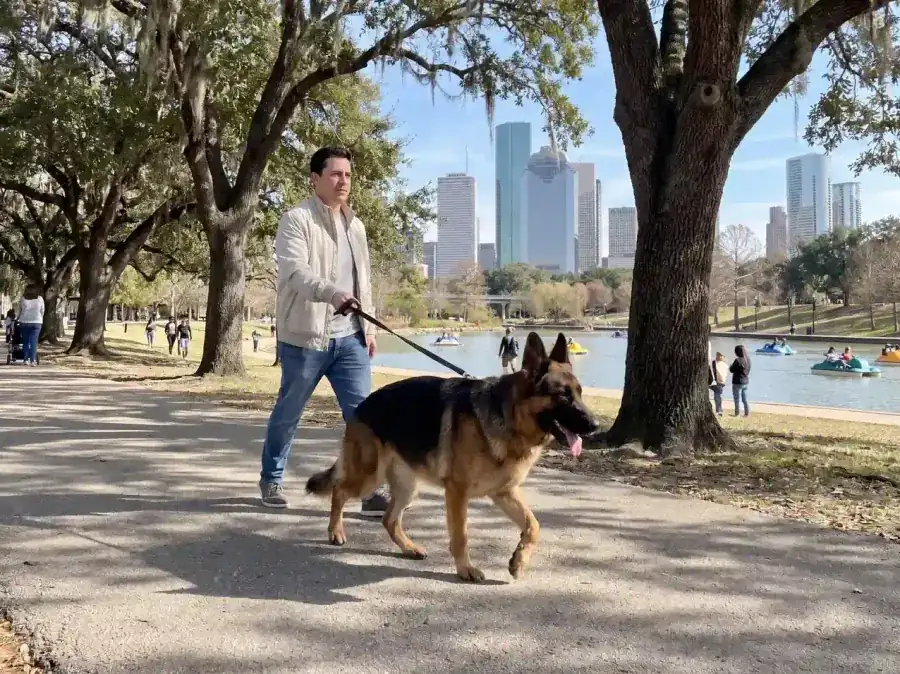 CJ's Dog Training,Houston dog training
