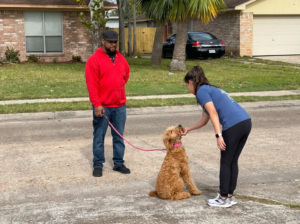 CJ's in-home dog training session in Houston, TX